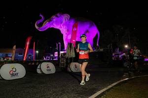 BIB: 
                            <button type="button" onclick="openModal(26534842)" class="btn btn-primary btn-sm float-right btn-popup" data-toggle="modal" data-target=".modal-high-quality">
                        <i class="fas fa-shopping-cart"></i> Add to Cart
                    </button>
                                            <button type="button" onclick="isThisMe(26534842, true)" class="btn btn-success btn-sm float-right btn-popup btn-isme hidden" data-toggle="tooltip" data-placement="bottom" title="นี่คือรูปของคุณใช่ไหม คลิกที่นี่เพื่อเอาเข้าอัลบั้ม">
                        <i class="fas fa-plus"></i> Add to album
                    </button>
                    <button type="button" onclick="isThisMe(26534842, false)" class="btn btn-warning btn-sm float-right btn-popup btn-isnotme hidden">
                        <i class="fas fa-ban"></i> Remove from album
                    </button>